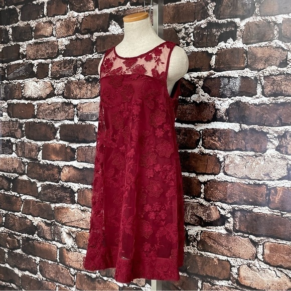 SIGNATURE ROBBIE BEE Dress NWT Red Lace Shift Size Small Petite SP - Picture 5 of 13